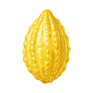 etrog