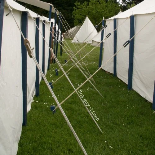 Grafted Sukkot guidelines (not guy-lines)