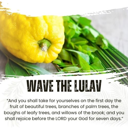 Lulav